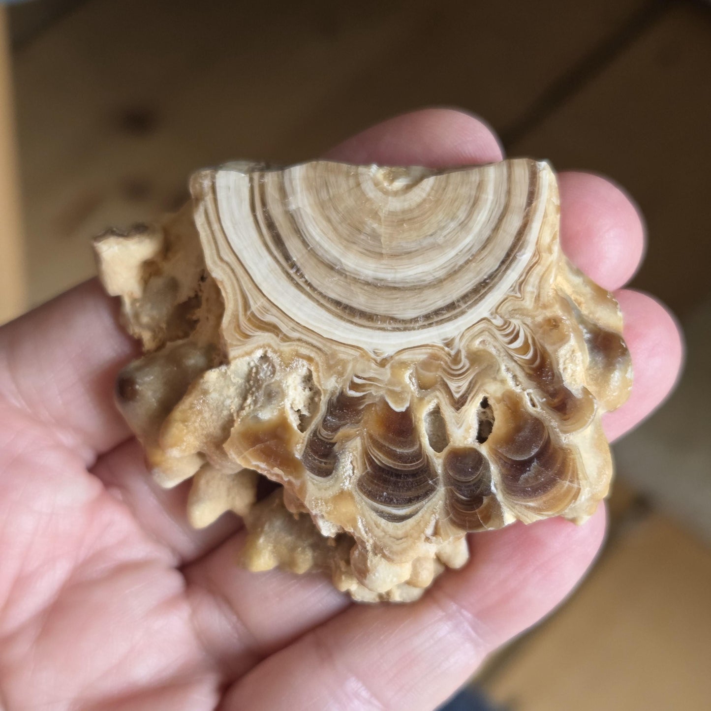 Scheibe aus Aragonit mit Calcit Stalaktiten, Marokko, 50 x 63 x 15 mm, 55,70 g. Sammlerstein, Heilstein zum Auflegen