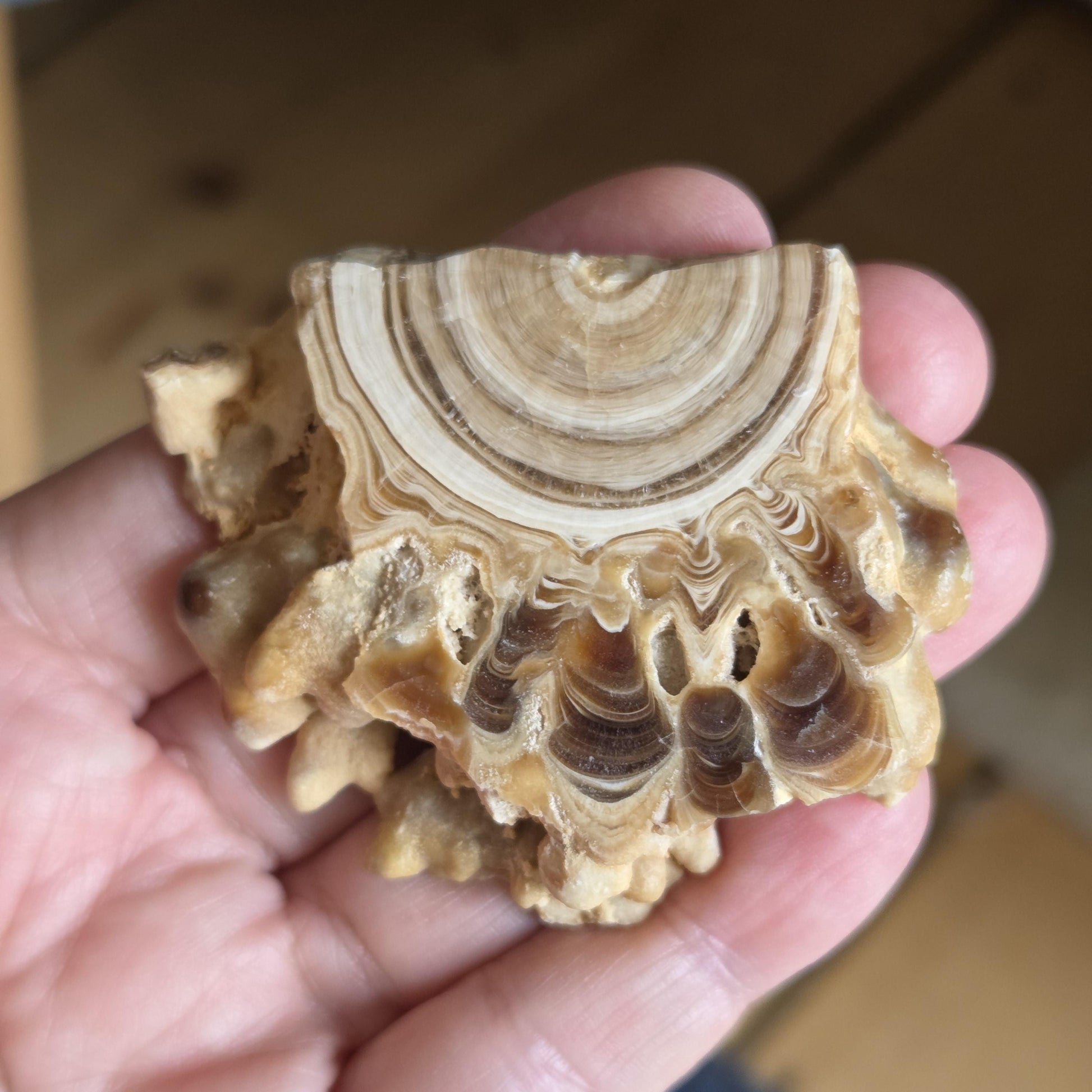 Scheibe aus Aragonit mit Calcit Stalaktiten, Marokko, 50 x 63 x 15 mm, 55,70 g. Sammlerstein, Heilstein zum Auflegen