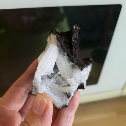 Hemimorphit weiß auf Eisenerz Sammlerstein, Heilkristall, 65 x 55 x 60 mm, 126,93 g., 634,45 ct., Mexico