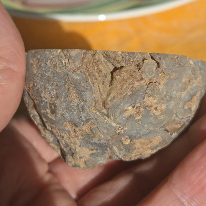 Große Achat Kristall Druse, Nuss Geode, 57 x 55 x 40 mm, 64,12 g., 329,60 ct., Sammlerstein, Heilstein zum Auflegen, Halb Geode