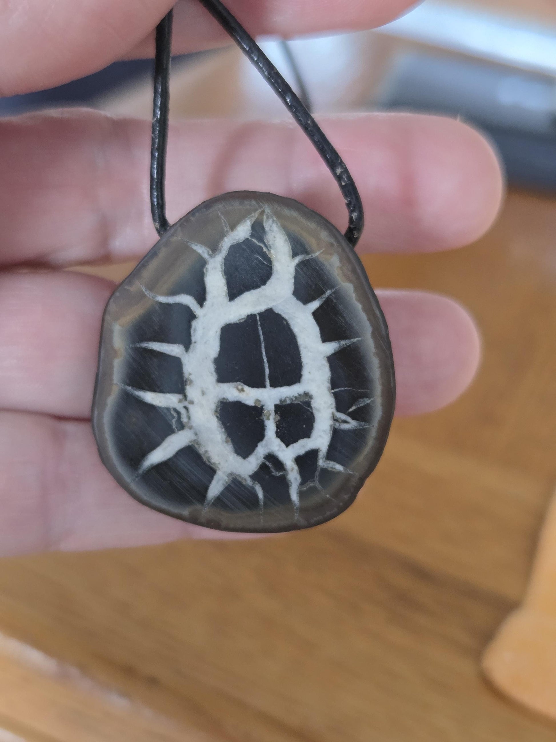 Seltener Septarie Stein, Drachen Stein, Drachenei, Fossil fossiler Schmuck Anhänger, 37 x 33 x 12 mm, gebohrt, an verstellbarem Lederband