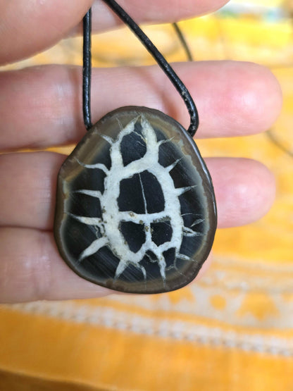 Seltener Septarie Stein, Drachen Stein, Drachenei, Fossil fossiler Schmuck Anhänger, 37 x 33 x 12 mm, gebohrt, an verstellbarem Lederband