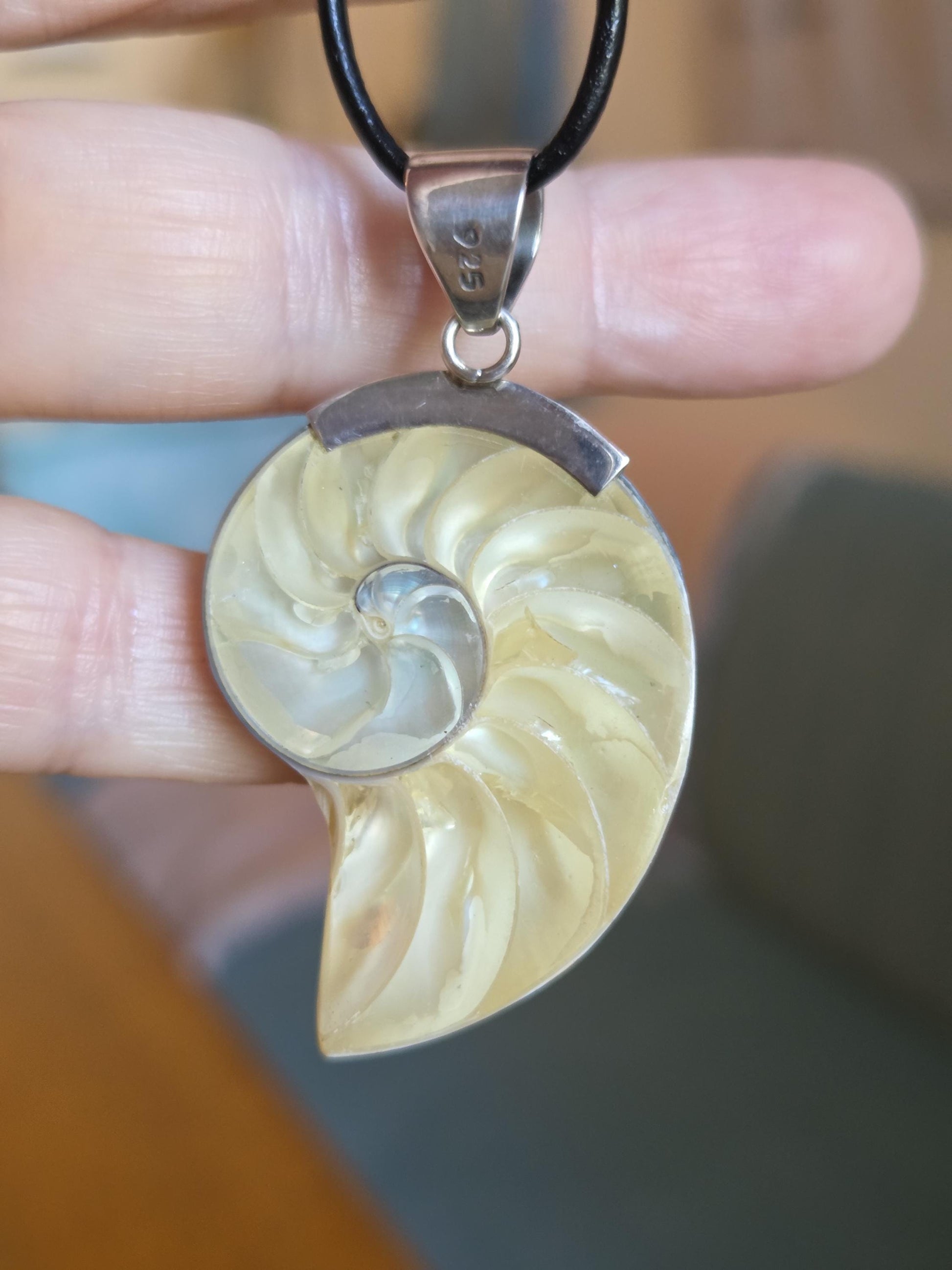Nautilus Muschel, Nautilus Schnecke, Anhänger in 925er Silberfassung, an verstellbarem Lederband, 54 x 29 x 11 mm