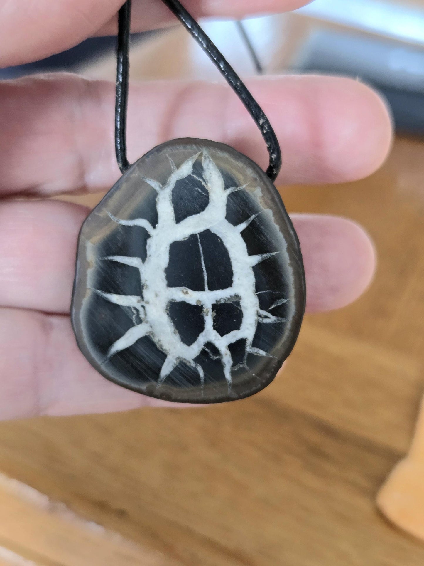 Seltener Septarie Stein, Drachen Stein, Drachenei, Fossil fossiler Schmuck Anhänger, 37 x 33 x 12 mm, gebohrt, an verstellbarem Lederband