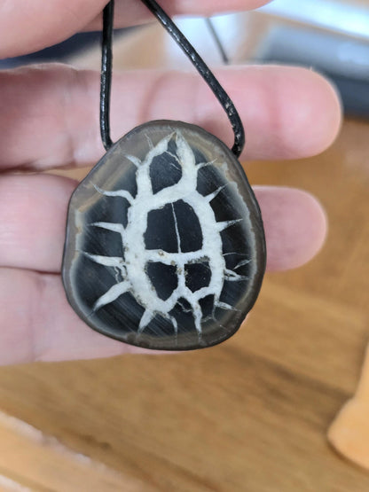 Seltener Septarie Stein, Drachen Stein, Drachenei, Fossil fossiler Schmuck Anhänger, 37 x 33 x 12 mm, gebohrt, an verstellbarem Lederband