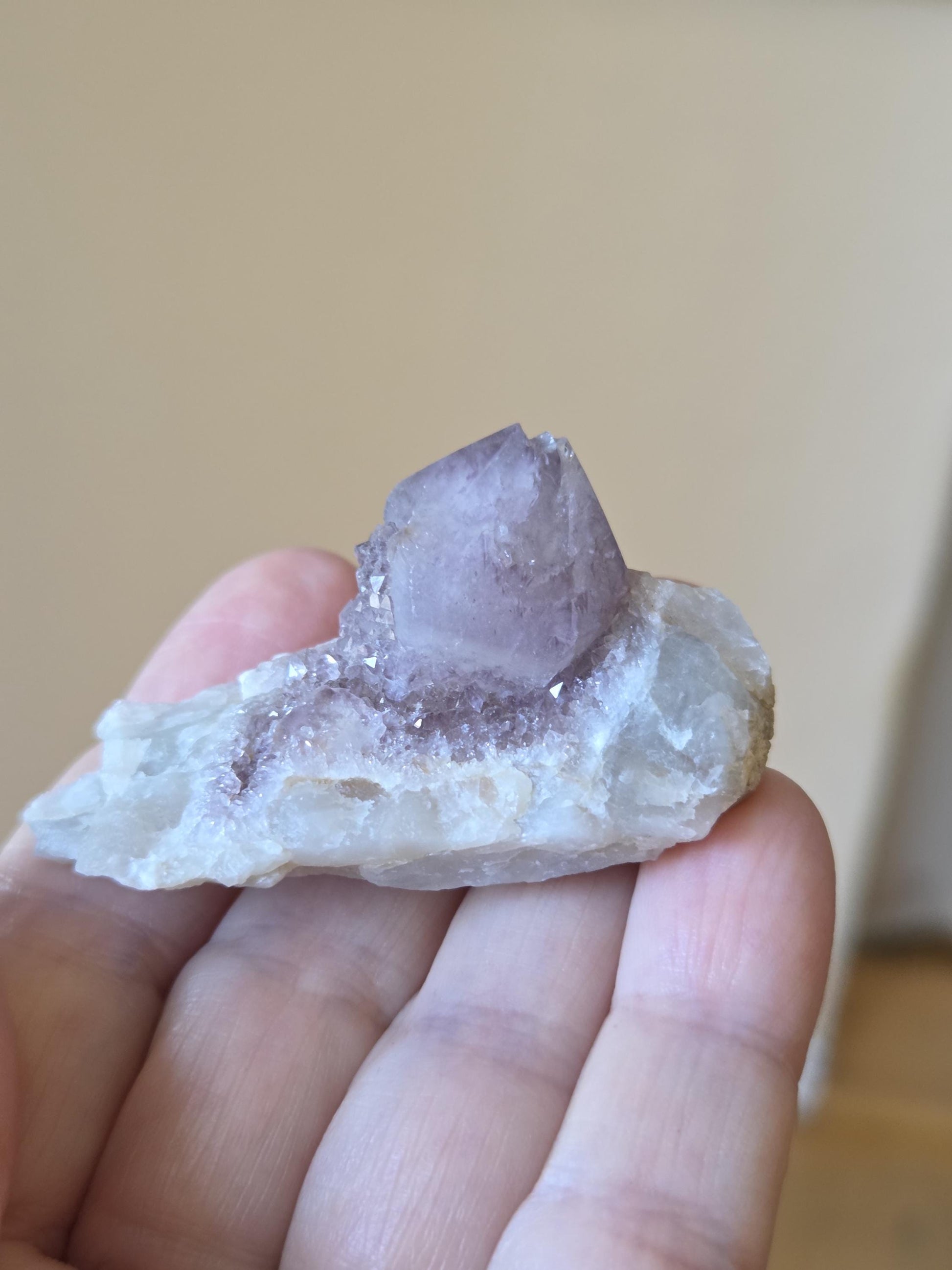 Spirit Quarz Kaktus Quarz Amethyst kleine Stufe Sammlerstein Kristall Spitze Rohstein
