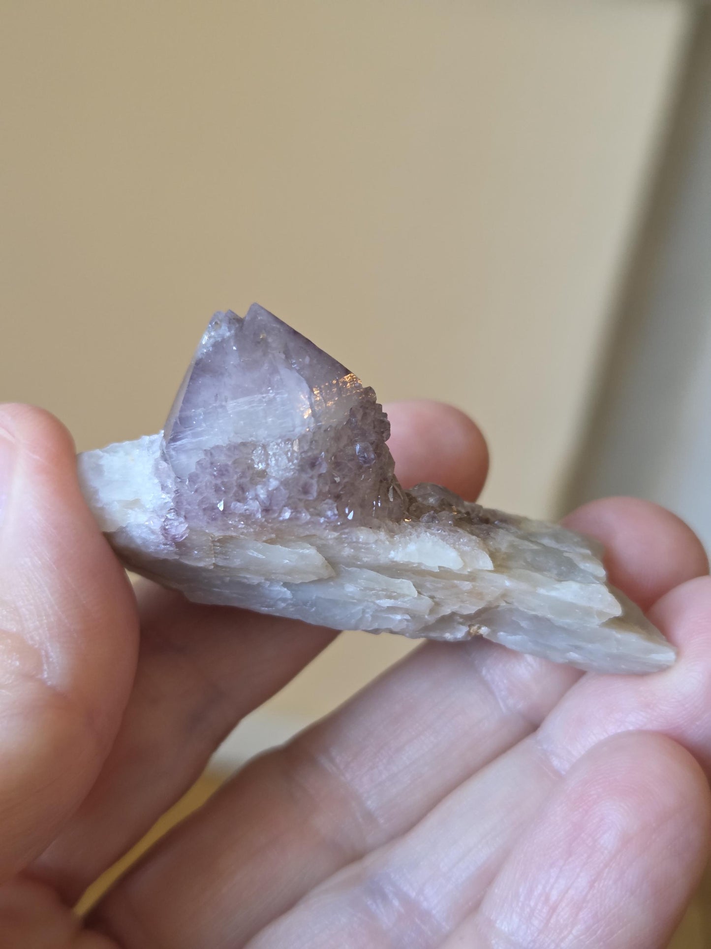 Spirit Quarz Kaktus Quarz Amethyst kleine Stufe Sammlerstein Kristall Spitze Rohstein