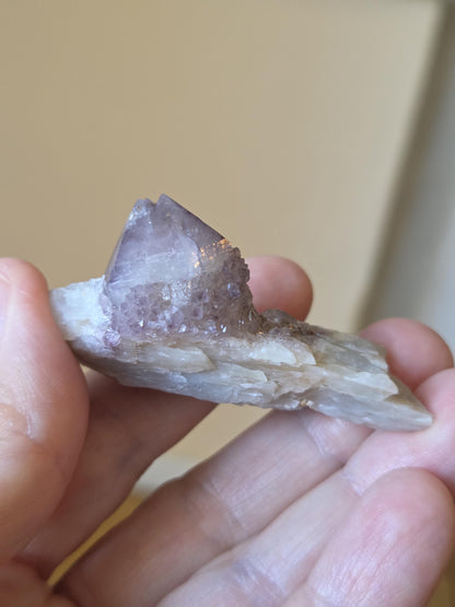 Spirit Quarz Kaktus Quarz Amethyst kleine Stufe Sammlerstein Kristall Spitze Rohstein
