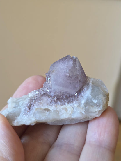Spirit Quarz Kaktus Quarz Amethyst kleine Stufe Sammlerstein Kristall Spitze Rohstein