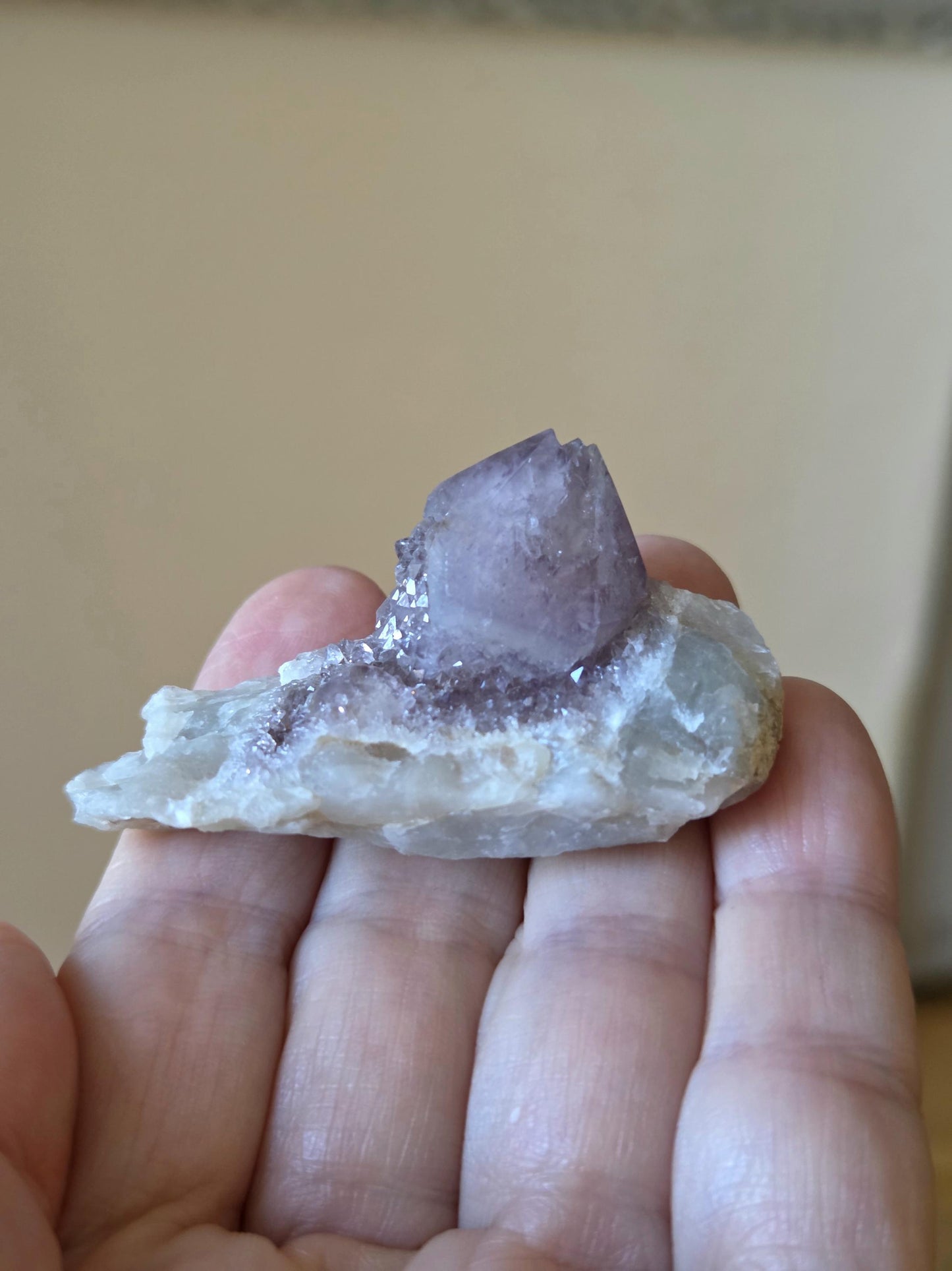 Spirit Quarz Kaktus Quarz Amethyst kleine Stufe Sammlerstein Kristall Spitze Rohstein