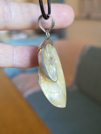 Nautilus Muschel, Nautilus Schnecke, Anhänger in 925er Silberfassung, an verstellbarem Lederband, 54 x 29 x 11 mm