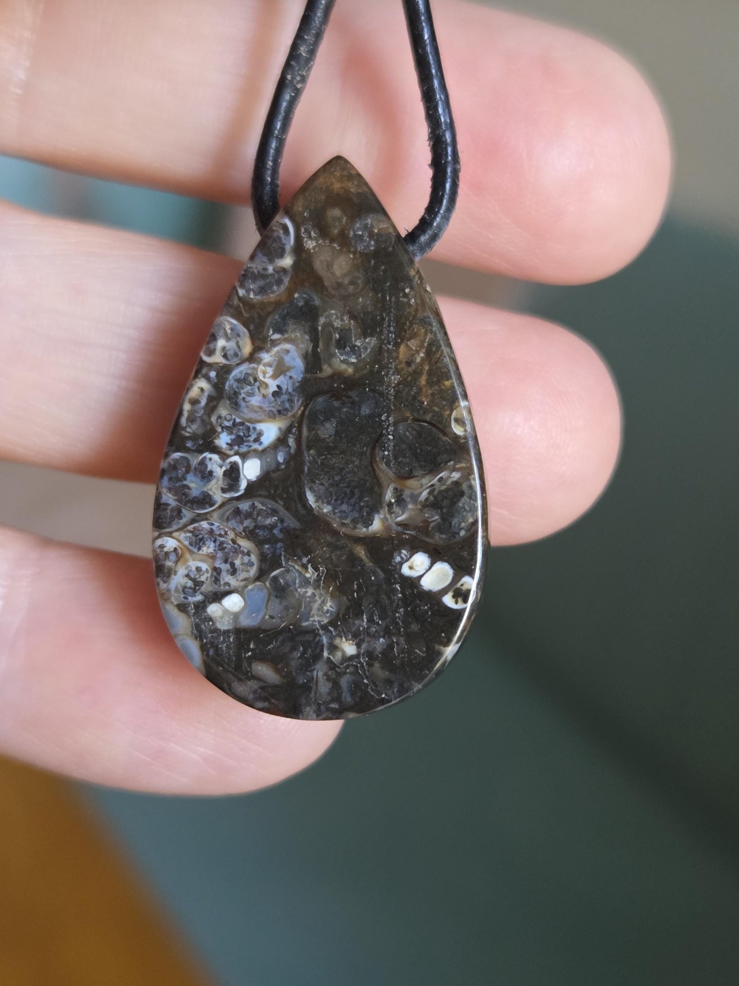 Turritella Achat Turritella Jaspis mit Chalcedon Edelstein mit fossilen Schnecken, Anhänger, 33 x 20 x 12 mm, an verstellbarem Lederband