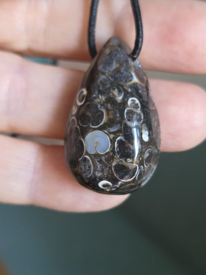 Turritella Achat Turritella Jaspis mit Chalcedon Edelstein mit fossilen Schnecken, Anhänger, 33 x 20 x 12 mm, an verstellbarem Lederband