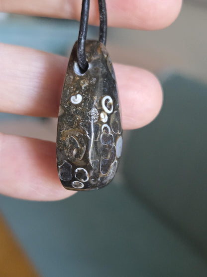 Turritella Achat Turritella Jaspis mit Chalcedon Edelstein mit fossilen Schnecken, Anhänger, 33 x 20 x 12 mm, an verstellbarem Lederband