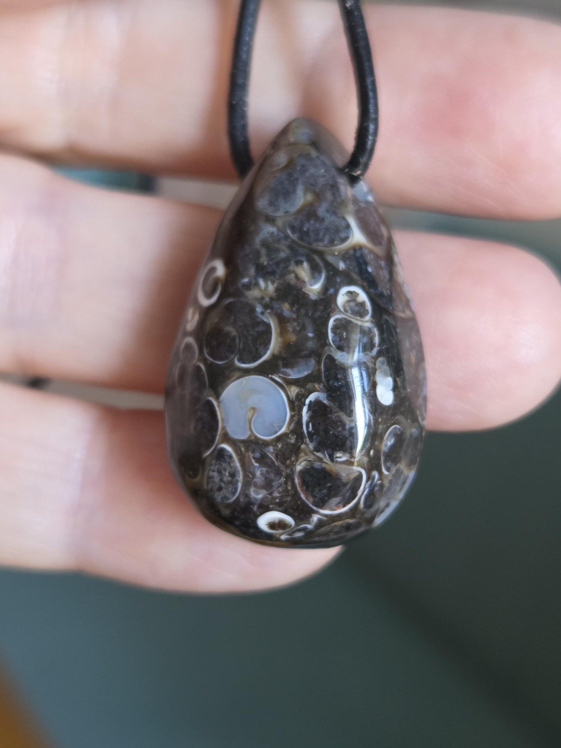 Turritella Achat Turritella Jaspis mit Chalcedon Edelstein mit fossilen Schnecken, Anhänger, 33 x 20 x 12 mm, an verstellbarem Lederband