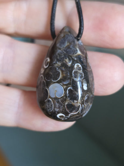 Turritella Achat Turritella Jaspis mit Chalcedon Edelstein mit fossilen Schnecken, Anhänger, 33 x 20 x 12 mm, an verstellbarem Lederband