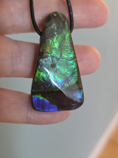 Sehr großer feiner Ammolit Opal Anhänger blau grün , aus Kanada, 44 x 24 x 9 mm, gebohrt, an verstellbarem Lederband