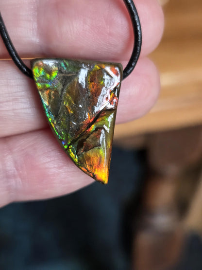 Magischer Ammolit Opal aus Alberta Kanada, Anhänger, 28 x 17 x 8 mm, gebohrt, an verstellbarem Lederband, ammolite, Ammonit