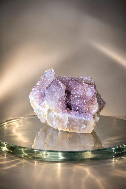 Spirit Quarz Kaktus Quarz Amethyst kleine Stufe Sammlerstein Kristall Spitze Rohstein