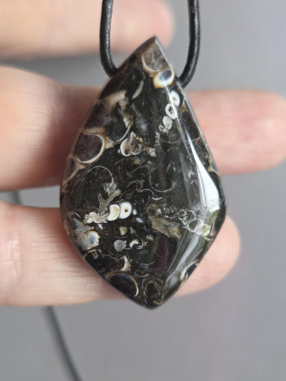 Turritella Achat Turritella Jaspis mit Chalcedon Edelstein mit fossilen Schnecken, Anhänger, 40 x 25 x 8 mm, an verstellbarem Lederband
