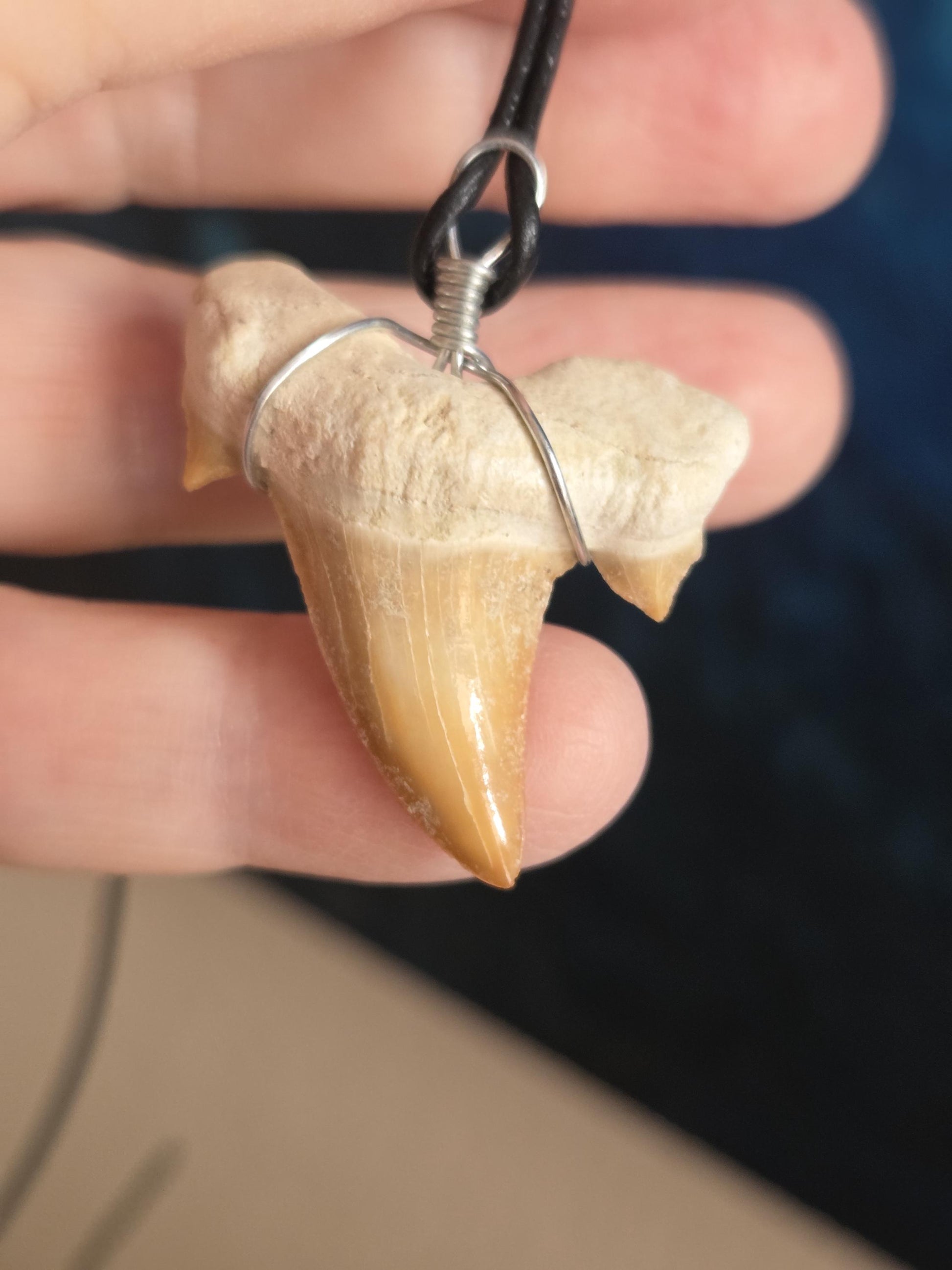 Versteinerter, fossiler Haizahn, Megalodon Zahn Anhänger, 38 x 30 x 9 mm, an Lederband, Surferschmuck, Einschulung, Geschenk für Kinder