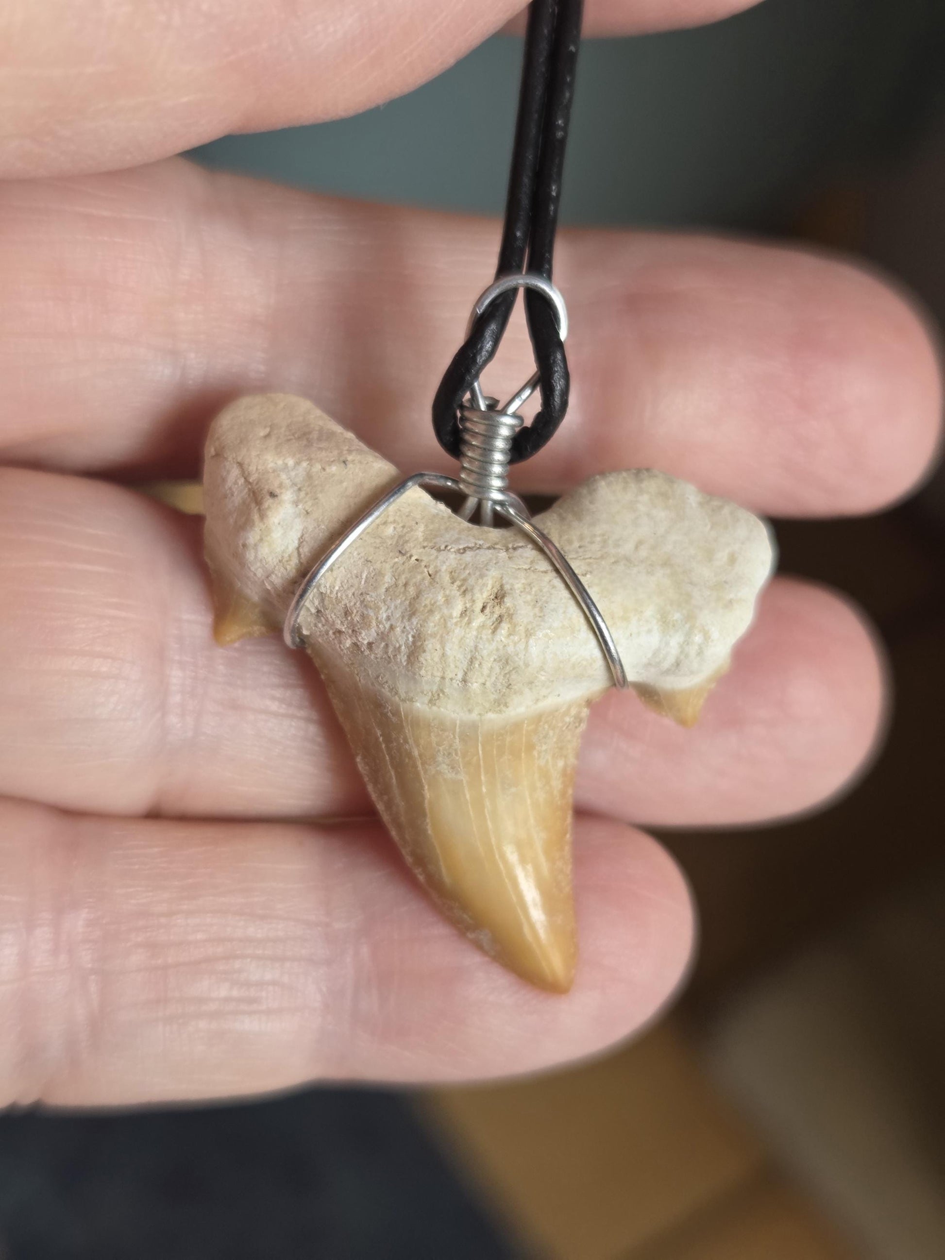 Versteinerter, fossiler Haizahn, Megalodon Zahn Anhänger, 38 x 30 x 9 mm, an Lederband, Surferschmuck, Einschulung, Geschenk für Kinder
