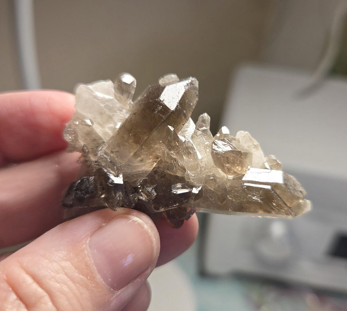 Traumhafte kleine Rauchquarz Stufe 20 x 55 x 18 mm , aus dem Fichtelgebirge