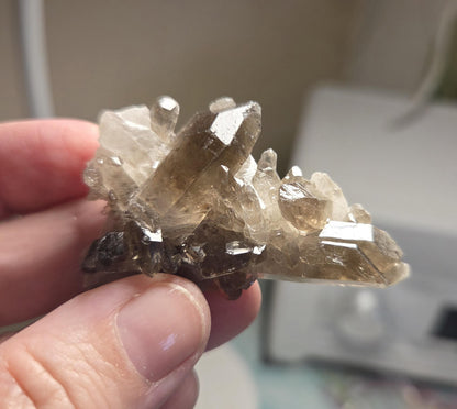 Traumhafte kleine Rauchquarz Stufe 20 x 55 x 18 mm , aus dem Fichtelgebirge