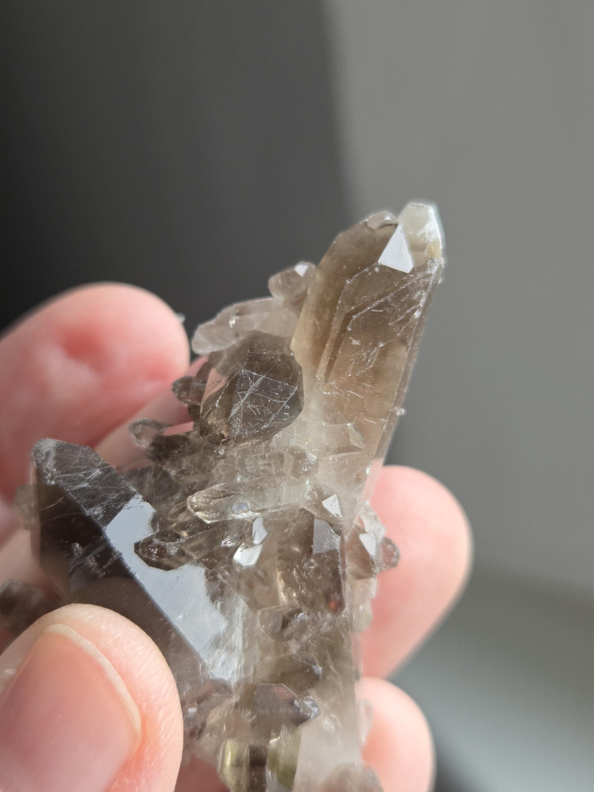 Traumhafte kleine Rauchquarz Stufe 20 x 55 x 18 mm , aus dem Fichtelgebirge