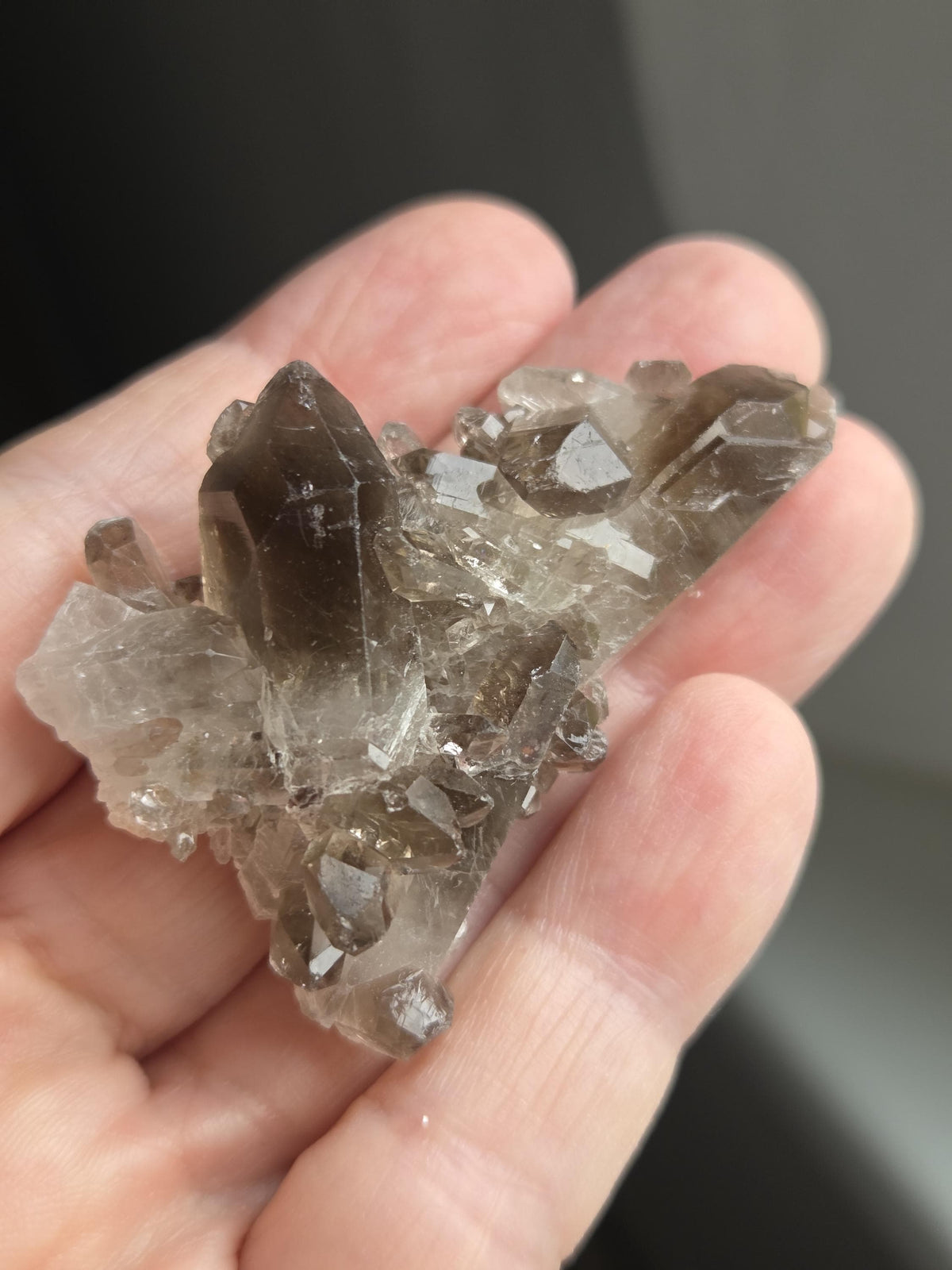 Traumhafte kleine Rauchquarz Stufe 20 x 55 x 18 mm , aus dem Fichtelgebirge