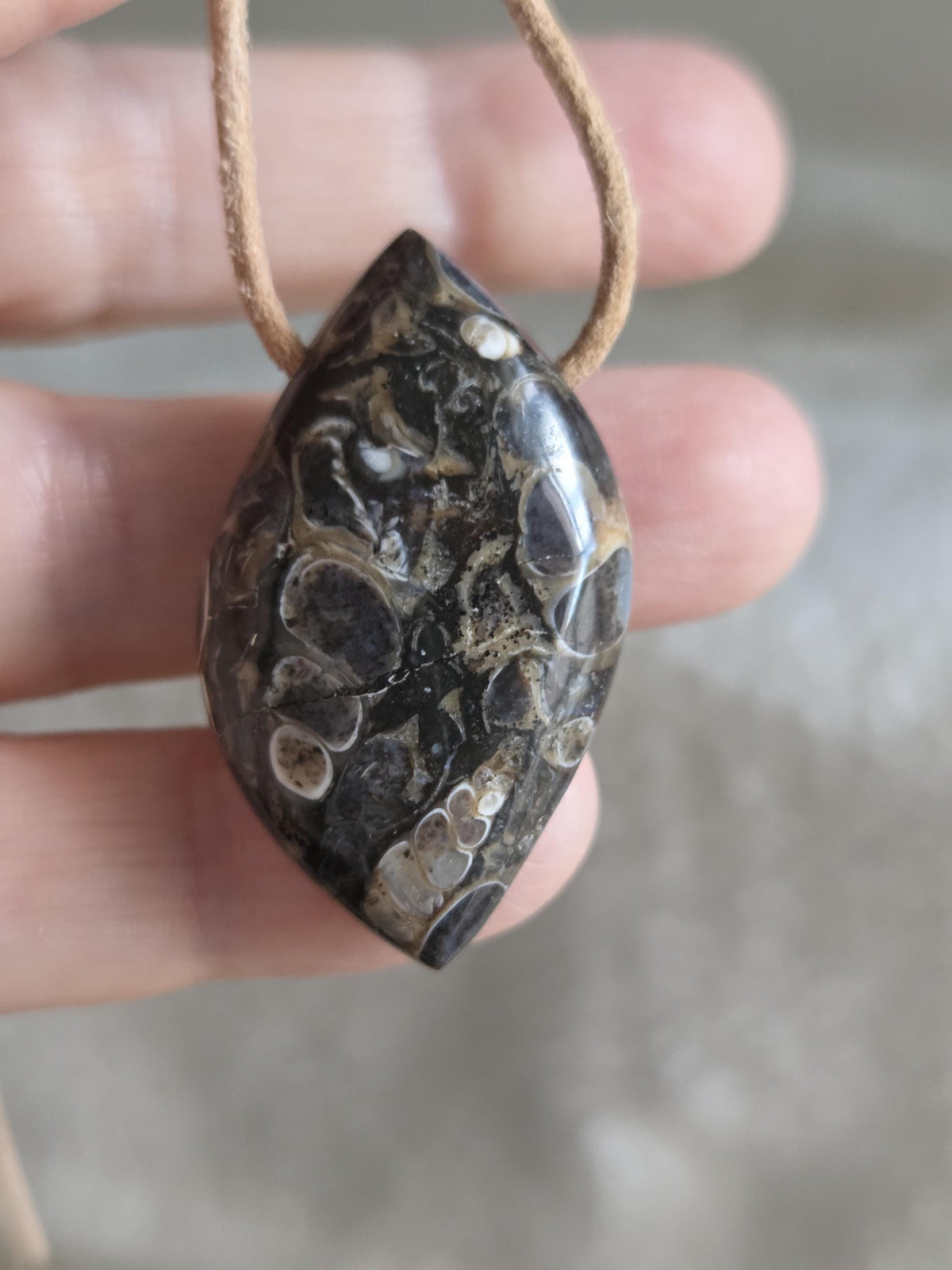 Turritella Achat Turritella Jaspis mit Chalcedon Edelstein mit fossilen Schnecken, Anhänger, 39 x 23 x 10 mm, an verstellbarem Lederband