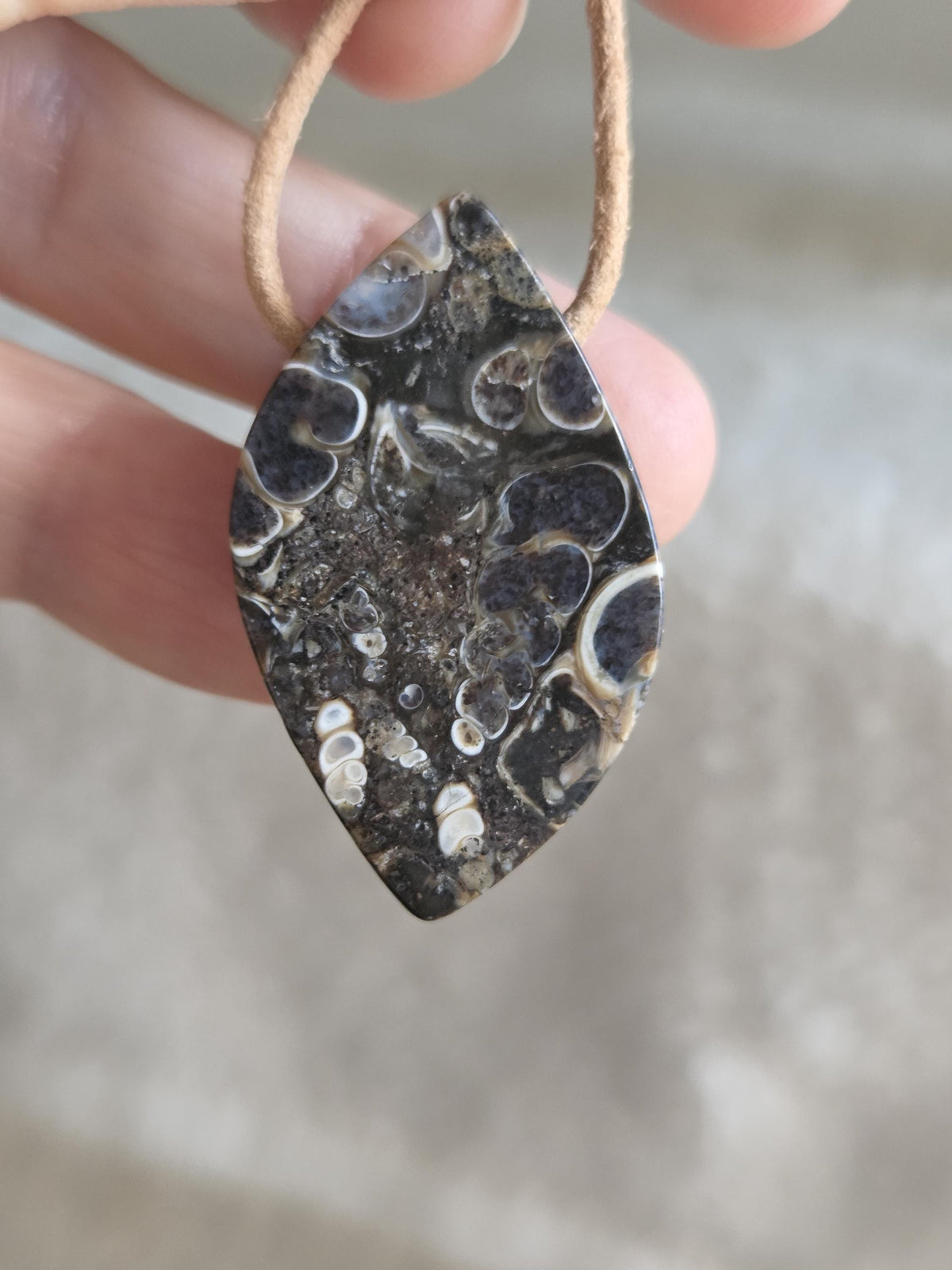 Turritella Achat Turritella Jaspis mit Chalcedon Edelstein mit fossilen Schnecken, Anhänger, 39 x 23 x 10 mm, an verstellbarem Lederband
