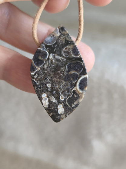 Turritella Achat Turritella Jaspis mit Chalcedon Edelstein mit fossilen Schnecken, Anhänger, 39 x 23 x 10 mm, an verstellbarem Lederband