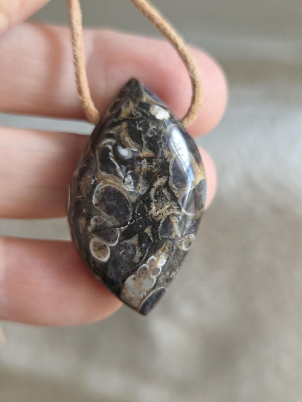 Turritella Achat Turritella Jaspis mit Chalcedon Edelstein mit fossilen Schnecken, Anhänger, 39 x 23 x 10 mm, an verstellbarem Lederband