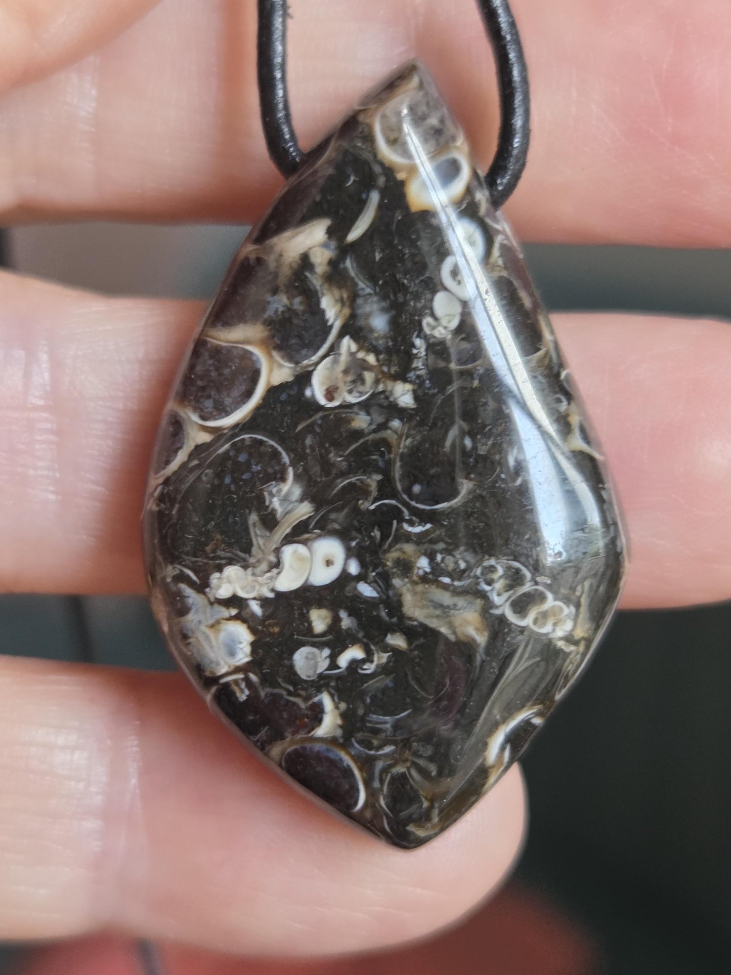 Turritella Achat Turritella Jaspis mit Chalcedon Edelstein mit fossilen Schnecken, Anhänger, 40 x 25 x 8 mm, an verstellbarem Lederband