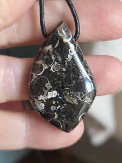 Turritella Achat Turritella Jaspis mit Chalcedon Edelstein mit fossilen Schnecken, Anhänger, 40 x 25 x 8 mm, an verstellbarem Lederband