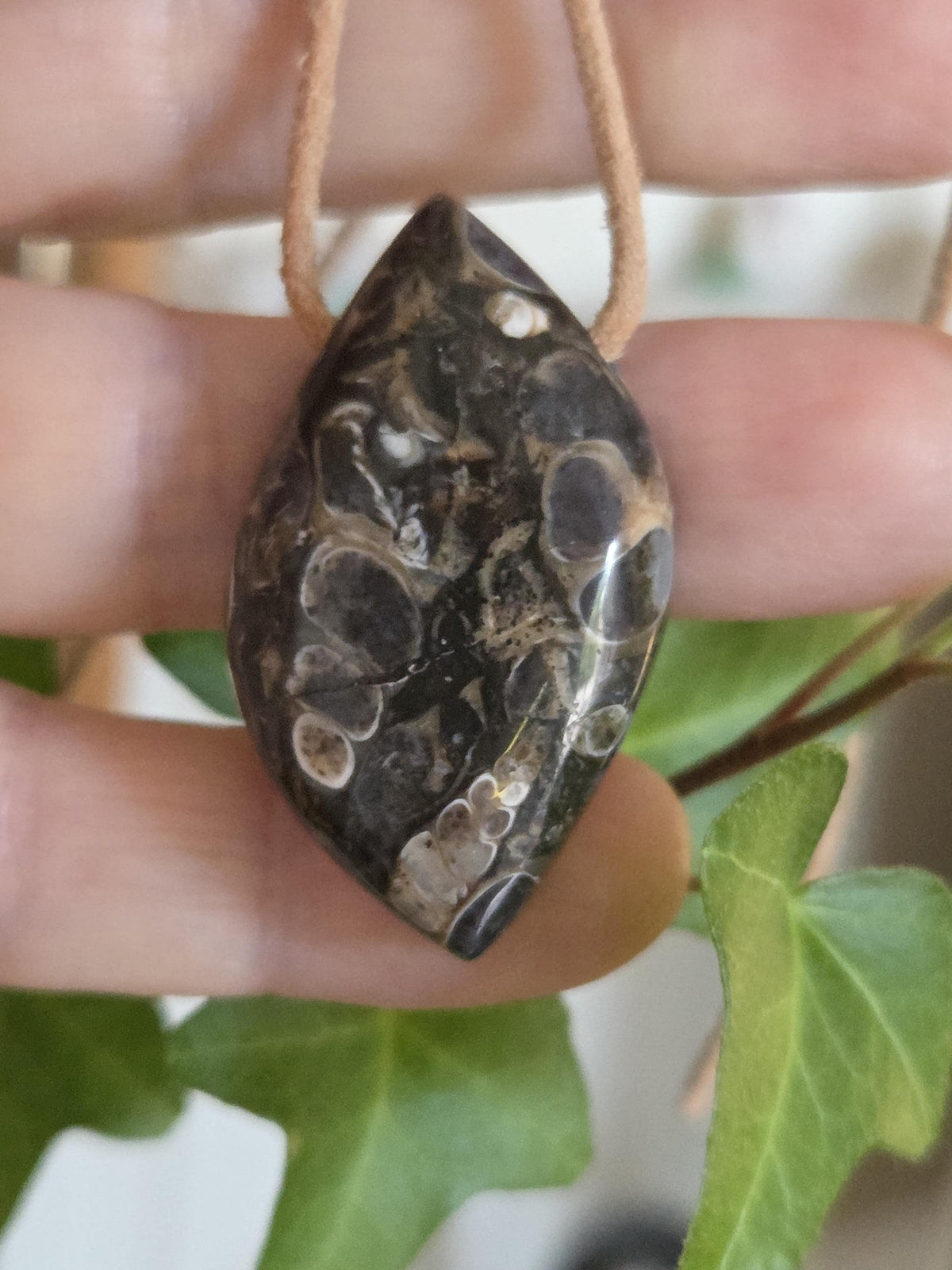 Turritella Achat Turritella Jaspis mit Chalcedon Edelstein mit fossilen Schnecken, Anhänger, 39 x 23 x 10 mm, an verstellbarem Lederband