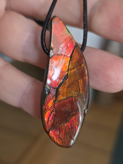 Seltener Ammolit Opal rot, Anhänger aus Alberta Kanada, 49 x 19 x 9 mm, gebohrt, an verstellbarem Lederband, Ammolit