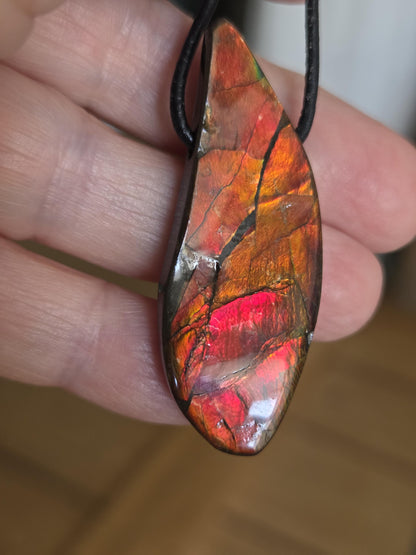 Seltener Ammolit Opal rot, Anhänger aus Alberta Kanada, 49 x 19 x 9 mm, gebohrt, an verstellbarem Lederband, Ammolit