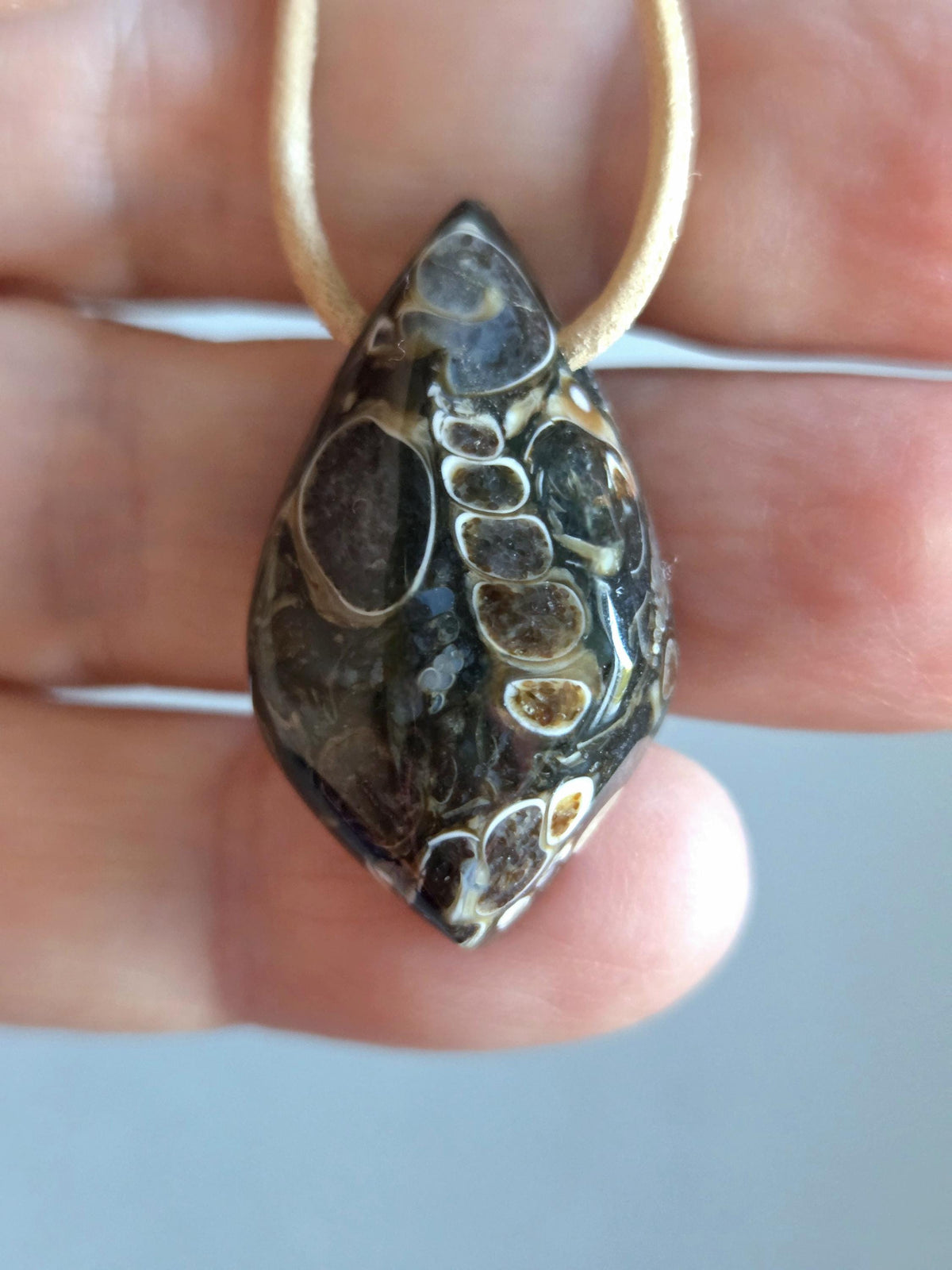Turitella Achat Jaspis, Schnecken Muschel Fossil Jaspis in Chalcedon, Anhänger, 31 x 17 x 9 mm, gebohrt, an Lederband, FO Wyoming