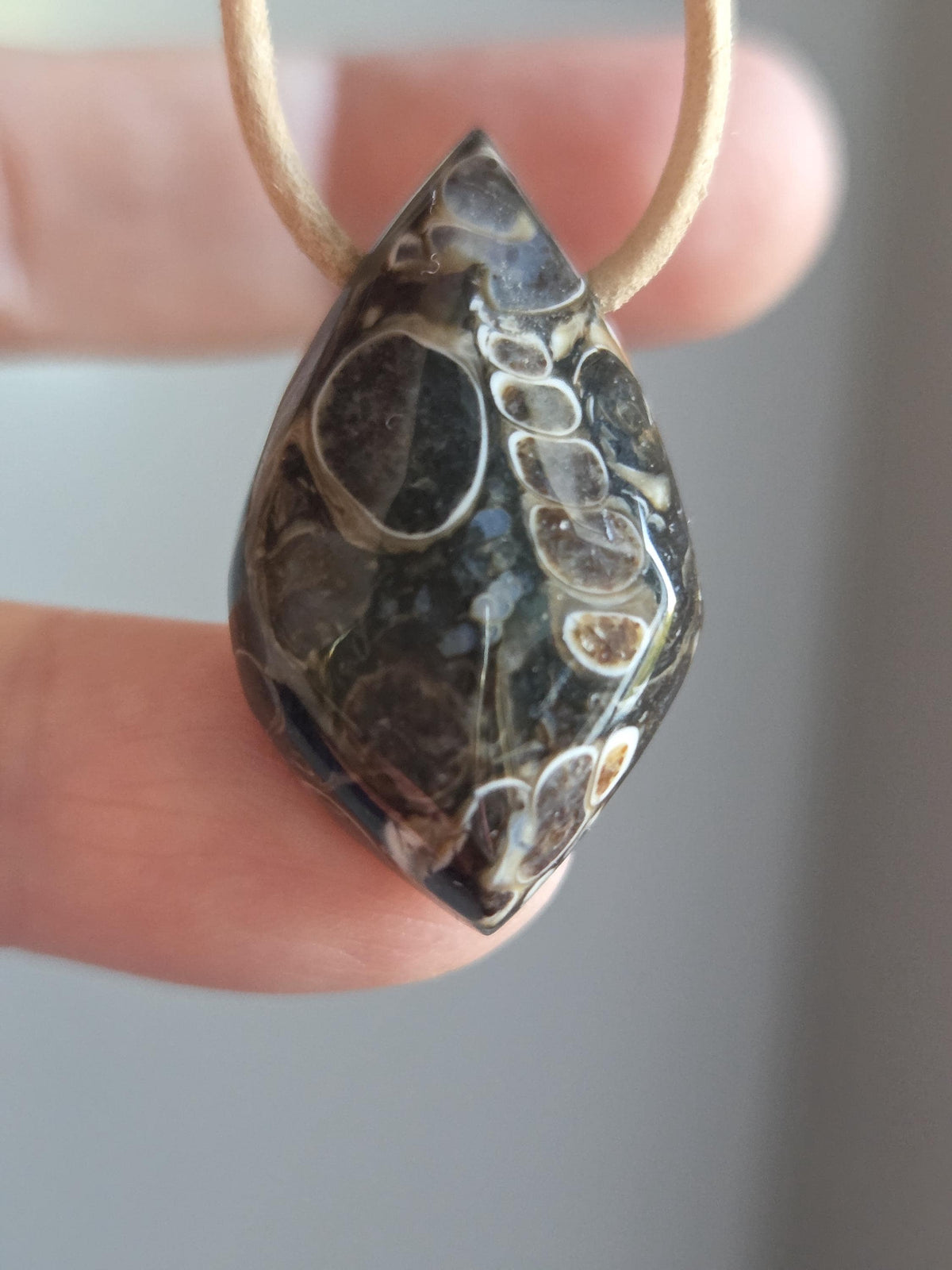 Turitella Achat Jaspis, Schnecken Muschel Fossil Jaspis in Chalcedon, Anhänger, 31 x 17 x 9 mm, gebohrt, an Lederband, FO Wyoming
