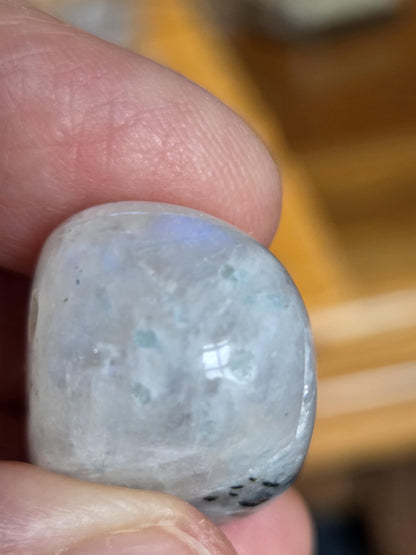 Regenbogen Mondstein , Anhänger mit Anteilen von schwarzem Turmalin und Aquamarin, 26 x 18 x 15 mm, gebohrt am Lederband
