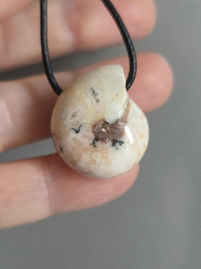 Versteinerte seltene Küsten Schnecke Ammonit, fossiler Schmuck Anhänger, 24 x 23 x 13 mm, gebohrt, an verstellbarem Lederband