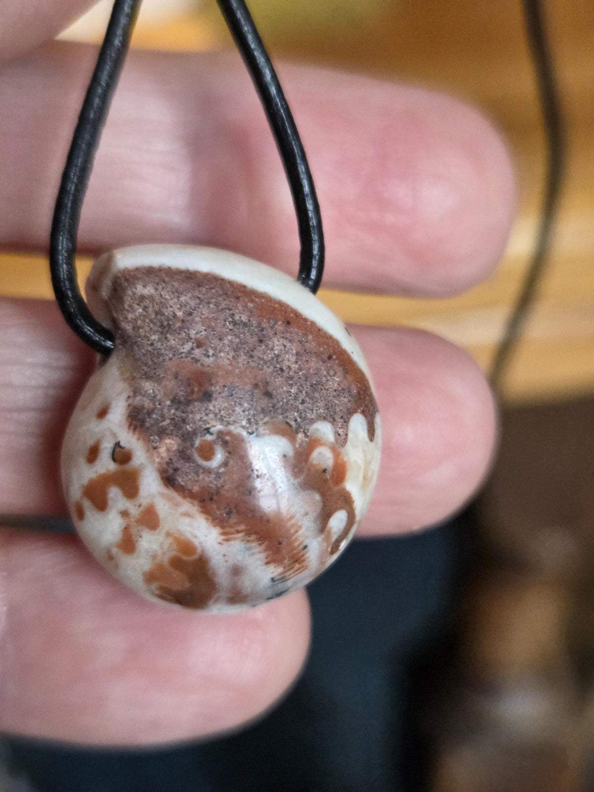Versteinerte seltene Küsten Schnecke Ammonit, fossiler Schmuck Anhänger, 24 x 23 x 13 mm, gebohrt, an verstellbarem Lederband