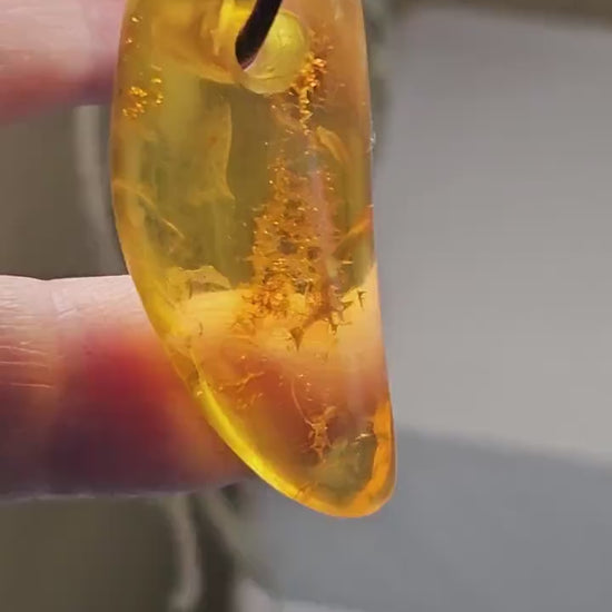 Großer feiner Bernstein Anhänger, mit Einschlüssen von Blüten Blätterskelett Bernstein Amulett, 40 x 18 x 10  mm , an Lederband