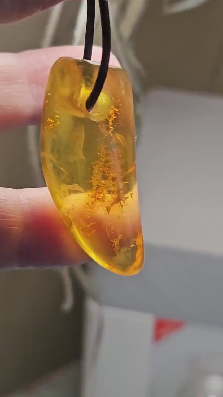 Großer feiner Bernstein Anhänger, mit Einschlüssen von Blüten Blätterskelett Bernstein Amulett, 40 x 18 x 10  mm , an Lederband