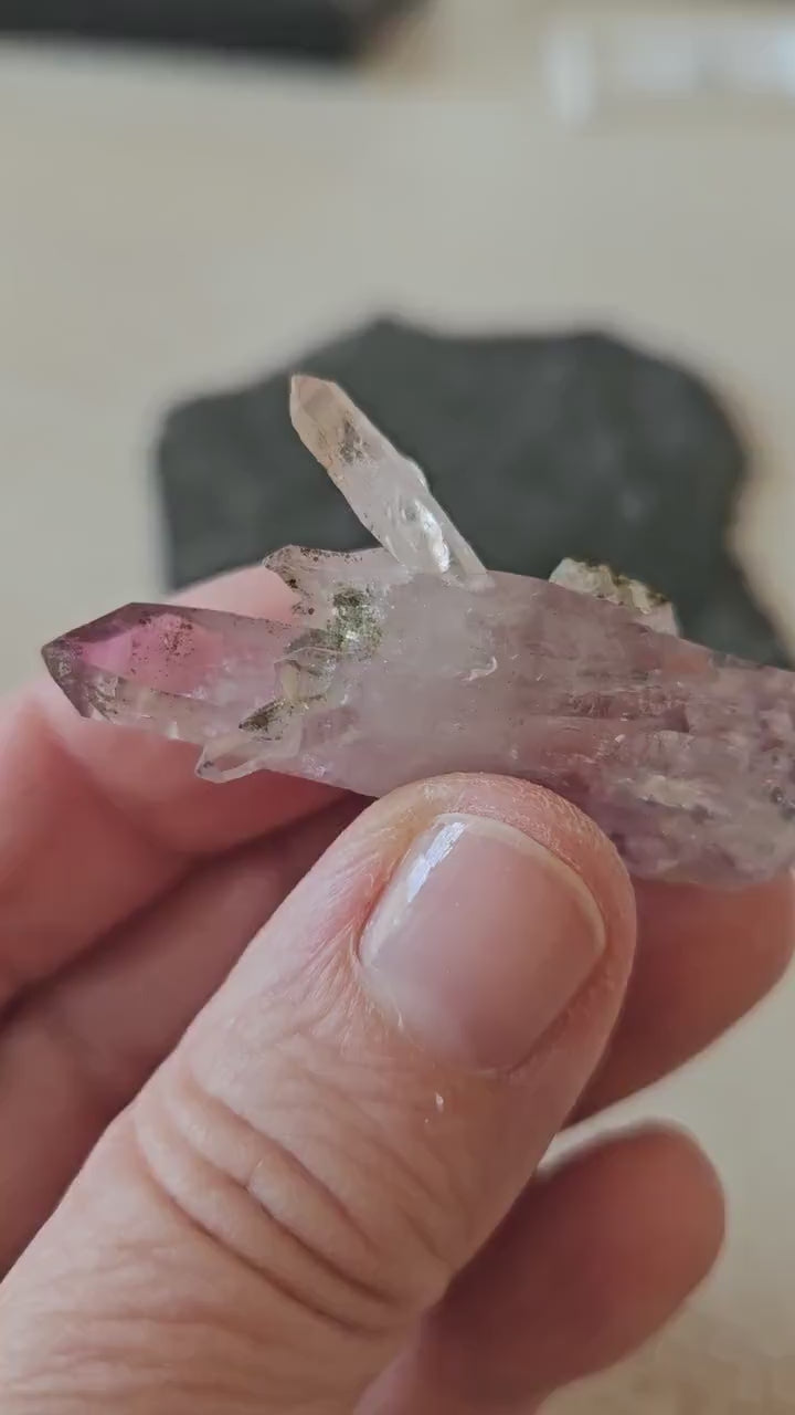 Amethyst Zepter Amethyst Guerrero, Mexico Doppelender mit vielen kleinen Kristallen