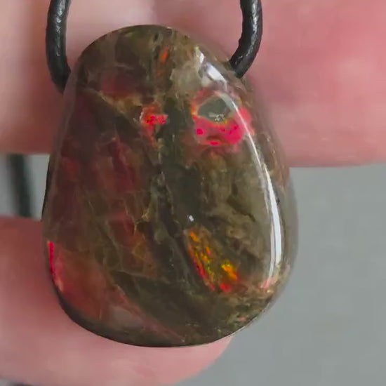 Geheimnisvoller Ammolit Opal Anhänger aus Alberta Kanada,  25 x 21 x 10 mm, gebohrt, an verstellbarem Lederband